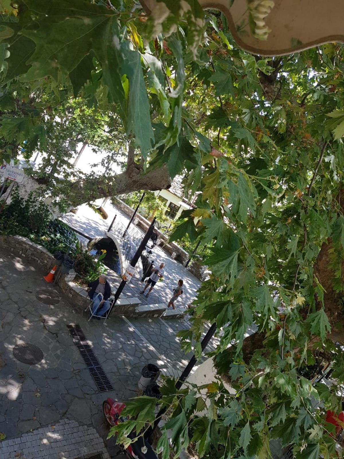 Amaya Pine Studio Panagia  Ngoại thất bức ảnh